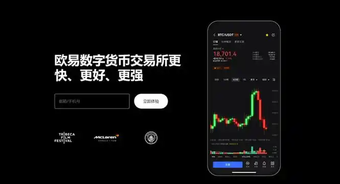 PAY币钱包平台展示图